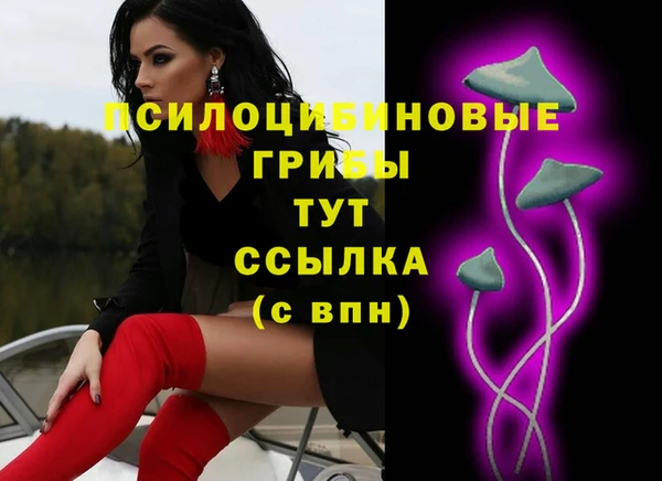 ПСИЛОЦИБИНОВЫЕ ГРИБЫ Белоозёрский