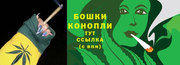 ПСИЛОЦИБИНОВЫЕ ГРИБЫ Белоозёрский
