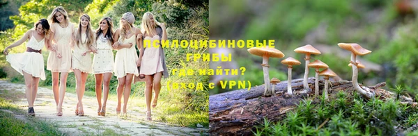 крисы Беломорск