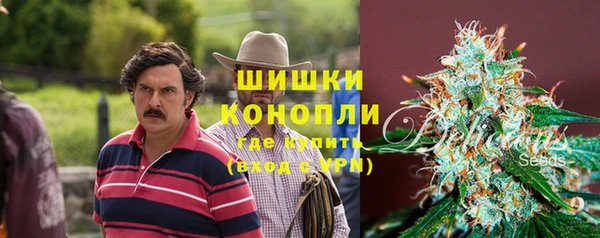 ПСИЛОЦИБИНОВЫЕ ГРИБЫ Белоозёрский