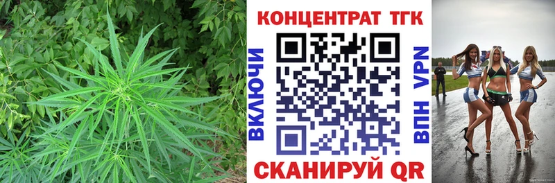 mega сайт Кукмор ТГК Wax